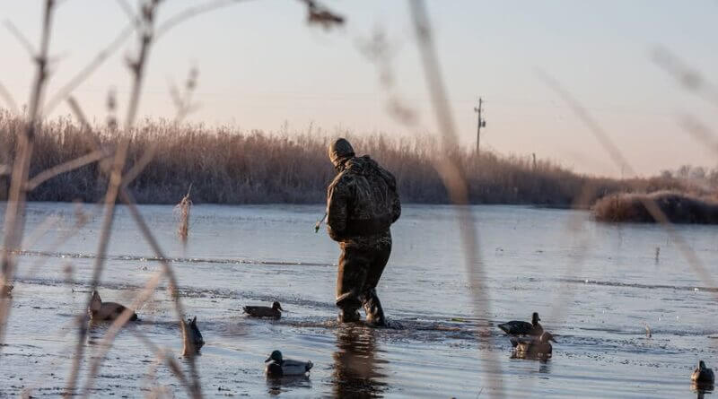 Mississippi Duck Season Ends, MDWFP Encourages Safe Hunting Practices As regular duck season comes to an end today, MDWFP hopes that everyone has had a safe hunting seaso