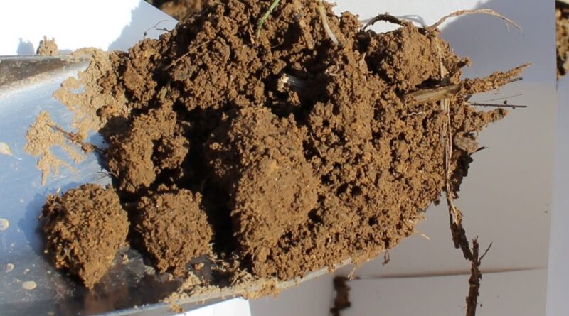 Photos from Mississippi Department of Wildlife, Fisheries, and Parks's post