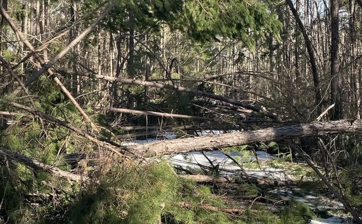 Photos from Mississippi Department of Wildlife, Fisheries, and Parks's post