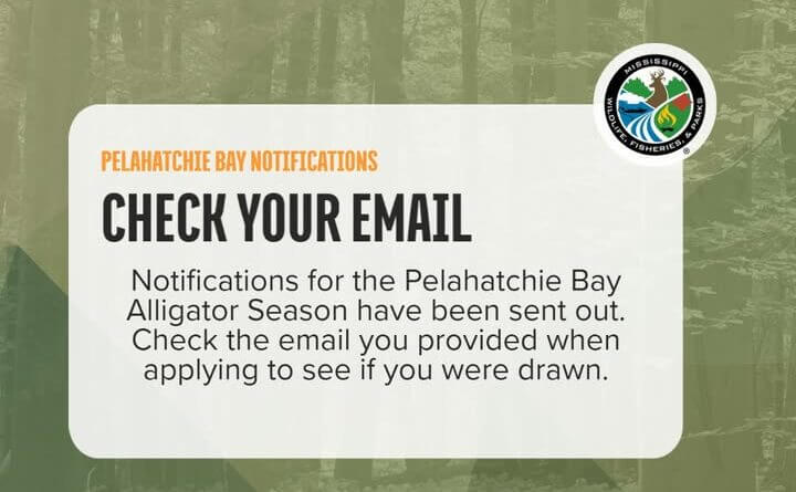 Notifications for the Pelahatchie Bay Alligator Season have been sent out