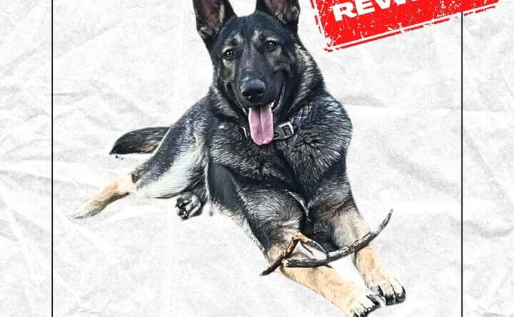 Photos from Greenville Police Department's post