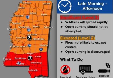 Fire danger levels rise in Greenville and surrounding areas, NWS warns Fire danger levels rise in Greenville and surrounding areas, NWS warns