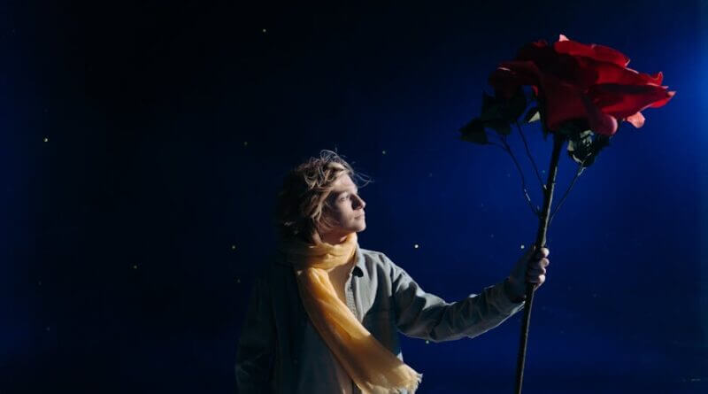 Photo by cottonbro studio on Pexels