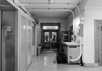 Black Commercial Corridors Use Culture to Boost Local Economies Photo by K S on Pexels