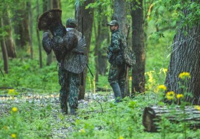 Spring Turkey Season Begins Today in 2026 The 2026 Spring Turkey Season starts today!