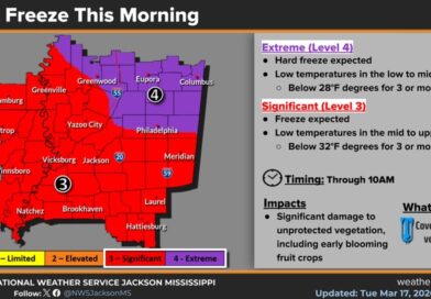 Cold Front Brings Significant Freeze, Damaging Vegetation Good morning!