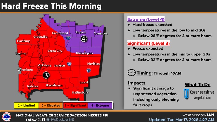 Cold Front Brings Significant Freeze, Damaging Vegetation Good morning!