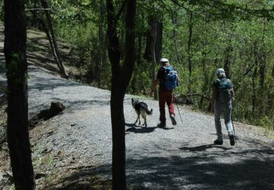 Mississippi State Parks Encourage Visitors to Celebrate Take a Walk in a Park Day Photos from Mississippi Department of Wildlife, Fisheries, and Parks's post
