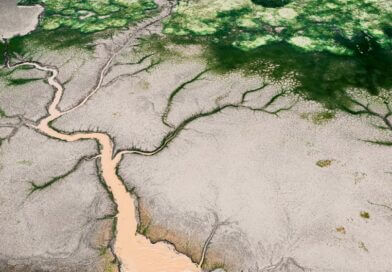 Severe Weather Alert Issued for Coahoma County Photo by Fu Shan Un on Pexels