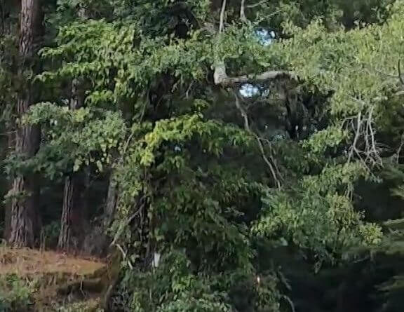 Mississippi Paddle Mafia Builds Community Through Waterways Watch How Mississippi's Paddle Mafia Built a Paddling Community from the Ground Up