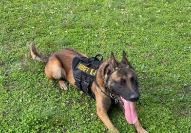 Tunica County Sheriff’s Office Celebrates National Pet Day with K9 Deputies Photos from Tunica County Sheriff's Office's post