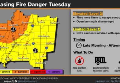 Dry Conditions Return After Light Rain, Fire Risk Increases Conditions are drying out again following the recent light rainfall event