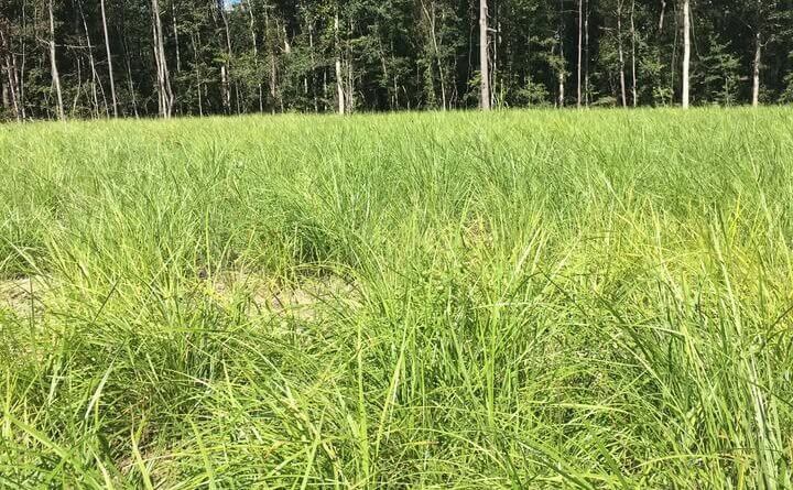 As turkey season ends, property managers urged to continue habitat improvements Turkey season may be nearing its close, but that doesn't mean you should stop managing your property