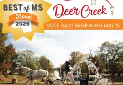 Leland Chamber of Commerce’s Christmas on Deer Creek Nominated for Best Holiday Event We are so excited for our Chamber friends at Leland Chamber of Commerce & Christmas on Deer Creek!