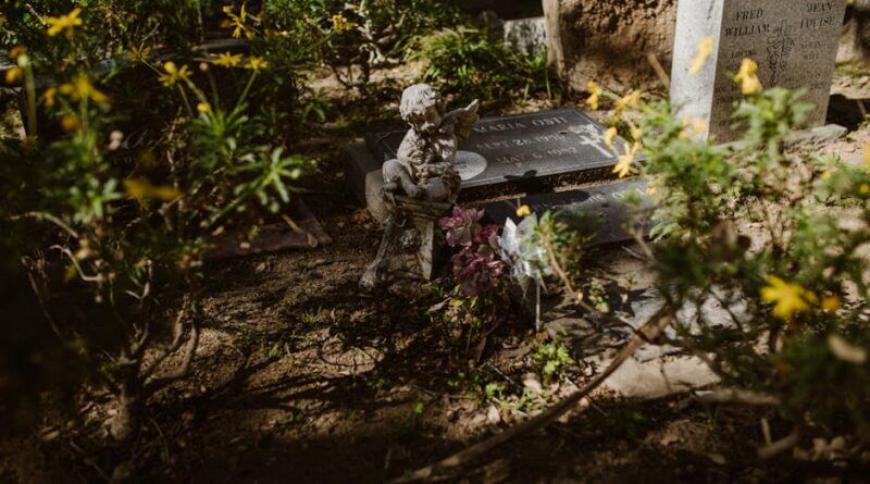 Eight children dead in Shreveport area shooting; suspect killed in Bossier Parish Photo by RDNE Stock project on Pexels