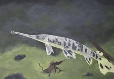 Mississippi Announces Winners of Fish Art and Essay Contest Photos from Mississippi Department of Wildlife, Fisheries, and Parks's post