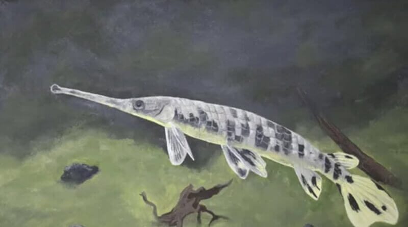 Mississippi Announces Winners of Fish Art and Essay Contest Photos from Mississippi Department of Wildlife, Fisheries, and Parks's post